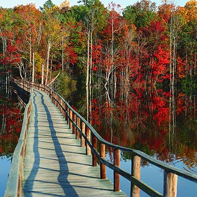 Wooden bridge in Newport News Park during Fall